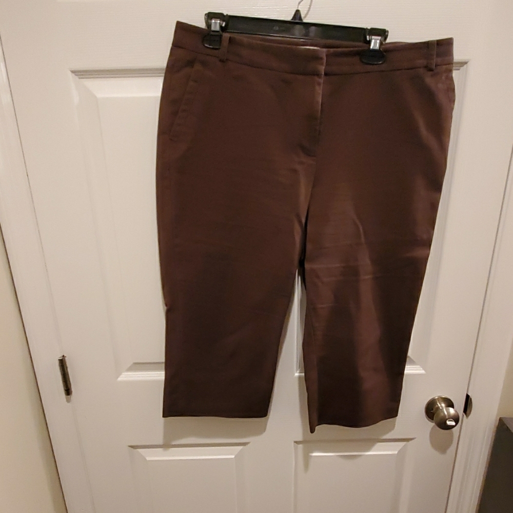 Ann Taylor Loft brown capris Julie